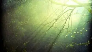 Vibrasphere feat. Ticon - Dewdrops [1080p HD]