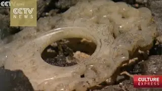 Han Dynasty Treasure: More precious burial objects unearthed at Haihunhou