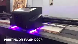 UV Flatbed Wood Printer | Flush Door Printer