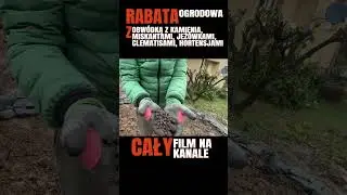 PRZEKSZTAŁCAM RODZINNY 35-LETNI OGR&Oacute;D || Tworzę nową rabatę z kamienną obw&oacute;dką