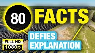 80 Unbelievable Facts That Will Make You Curious!