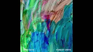 John Seth - Forest Drive