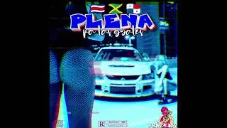 PLENA PA LAS GYALES 2 🇨🇷🇯🇲🇵🇦 | Plenas Nuevas MIX | Valentino, Haquil, Don Pablo Mures, Vybz Kartel