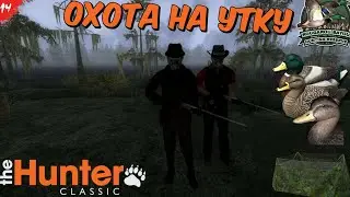 theHunter Classic - Охота на утку - Rougarou Bayou