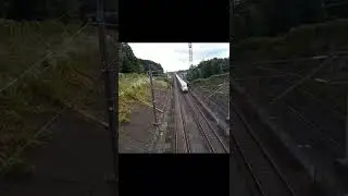 High Speed TRain passing under the bridge #shorts #shinkansen #japan