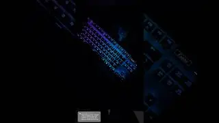 Apex Pro TKL lighting settings!