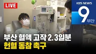 [LIVE] KBS 뉴스9 부산 - 2026.01.17(토)