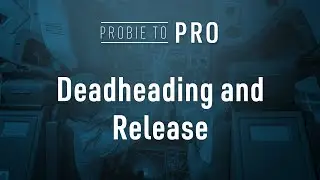 Deadheading and Release | Probie to Pro