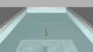 Spiking Central Pattern Generator control of a lamprey robot with no adaptation