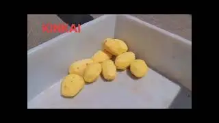 Banana Lemon Fruit Cutting Onion Potato Cassava Chips Slicer Machine  Root Vegetable Slicing Machine