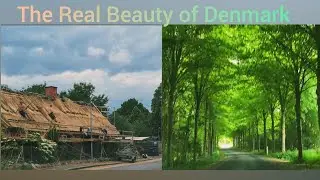 The Real Beauty of Denmark🇩🇰 Scenic Drive| Danish Summer|Almir Jan| #denmark#copenhagen#travel