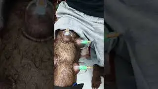 Al Shifa NERUO REHAB CLINIC near muzaffarpur bihar 🏥 #yt #hospital #physiotherapist #viral #reels
