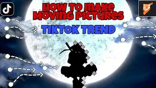 how to make moving pictures tutorial /motionleap tutorial