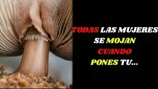 Datos impactantes sobre la psicolog&iacute;a femenina que nunca antes hab&iacute;as escuchado | Psicolog&iacute;a Femen