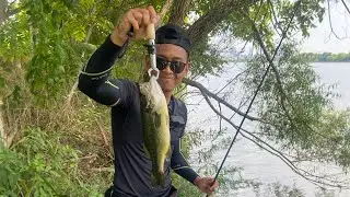 (BASS HUNTER) #DAY2 SUSPECTIVELY IN FRONT OF EYES THE BAIT WAS STRIKED BY A BLACKBASS #bassfishing
