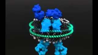 Scan of Nanodisc