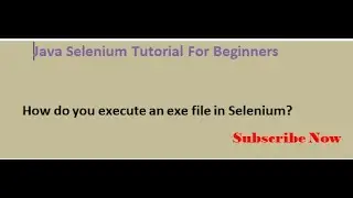 How do you execute an exe file in Selenium