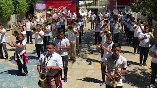 Sorbito de Champagne - INSAVI BAND