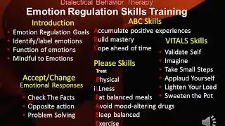 DBT Peer Connections   Ep 4a &ndash; Emotion Regulation Skills Introduction