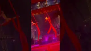 Must watch in this circus show?