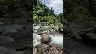 3 hours hiking for magic #nature #hike #outdoors #sunshine #jungle #thailand #explore