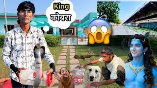 Cobra Snake Rescue 🐍 | Daily Vlog Ep. 5 | Aman Rawat Vlogs
