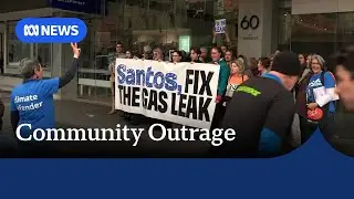 Massive methane gas leak at Darwin LNG facility draws protesters onto the streets | ABC NEWS