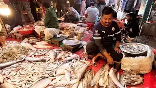 Fish Wholesale Prices EXPOSED at Rajshahi Market