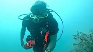 Scuba Diving Clearwater Beach with 2Shea Charters