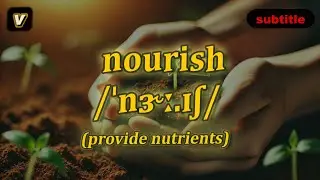 [v] Nourish meaning (provide nutrients) with 5 examples