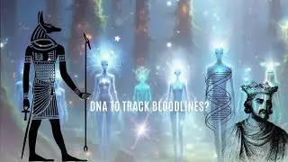 DNA Tracing Ancient Bloodlines & Galactic Origins? #emspiracy #tarot #galacticwar #spirituality