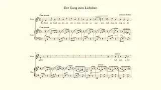 Der Gang zum Liebchen &ndash; Johannes Brahms &ndash; accompaniment in E minor