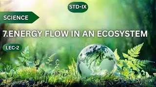 STD-IX SCIENCE-II 7.ENERGY FLOW IN AN ECOSYSTEM LEC-2(BIO-GEO CHEMICAL CYCLE) 