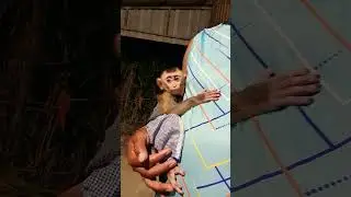 Cute baby girl monkey 🐒 Super cute