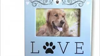 Dog Memorial Frame Collection - Dog Memorial Ideas