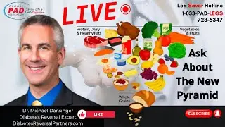 Ask Questions About The New Food Pyramid LIVE | Dr. Michael Dansinger