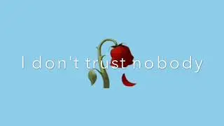 I Don't Trust Nobody-lyrics (Feat. Shiloh Dynasty)