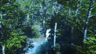 Bird Gameplay