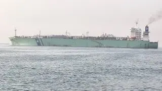 GIANTS AT SEA _ IMPRESSIVE SHIP SIGHTINGS IN 4K AT ROTTERDAM PORT @khanmariner317 