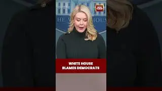 White House Blames Minnesota Democrats for Protester Deaths After Federal Shooting