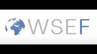 WSEF - TURKISH WSEIN - D&Uuml;NYA S&Uuml;RD&Uuml;R&Uuml;LEBİLİR ENERJİ ENSTİT&Uuml;S&Uuml; FORUMU