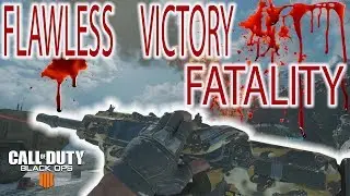CORDITE BELT FEED! FLAWLESS VICTORY Operator Mod/ Unlimited Ammo (COD BO4)