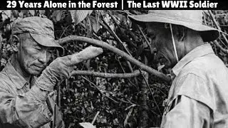 29 Years Trapped in the Jungle The Tragic Story of a WW2 Japanese Soldier Hiroo Onoda | WW2 RawTales