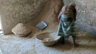 Rice Mill Bangladesh with Traditional Work Flows|| Traditional Rice Mill Daily Activities