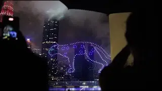 Cartier Into The Wild | SKYMAGIC