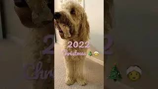 2022 Christmas wishlist! #christmas2022 #wishlist #preppy 🎄🤶🎅🎄