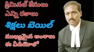 Crimes Types |  Criminal Cases List | Punishment Types  | Law Saves Altm