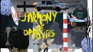 HARMONY OF OPPOSITES - AZORES SURFING