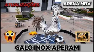 O GALO INOX CHEGOU! NOVIDADES da ARENA MRV