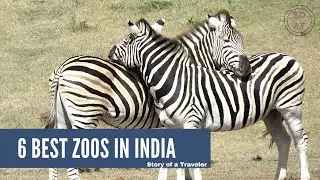 🐼  🦁  Six Best Zoos in India | Honest Review  🐿